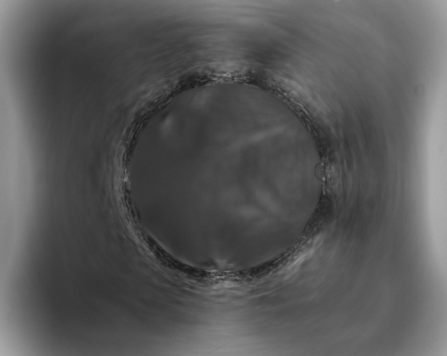 X0000094180913200711091139