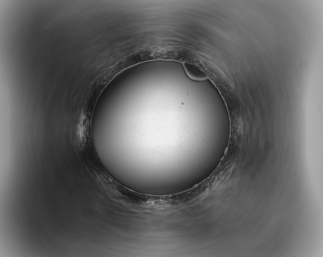 X0000094180914200711091139
