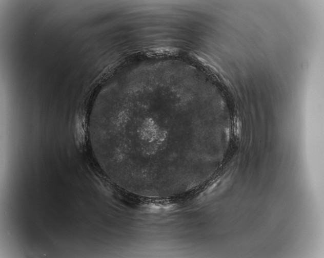X0000094180915200711091139