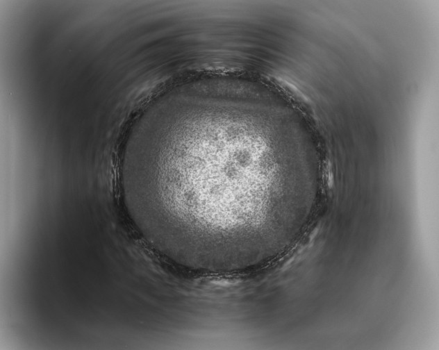 X0000094180917200711091139