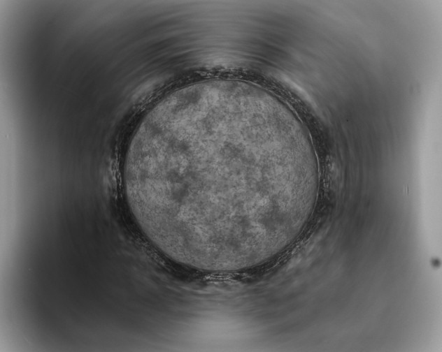 X0000094180918200711091139