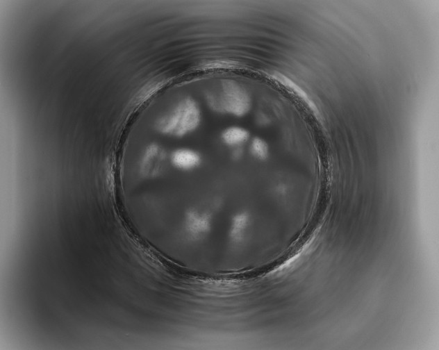 X0000094180921200711091139