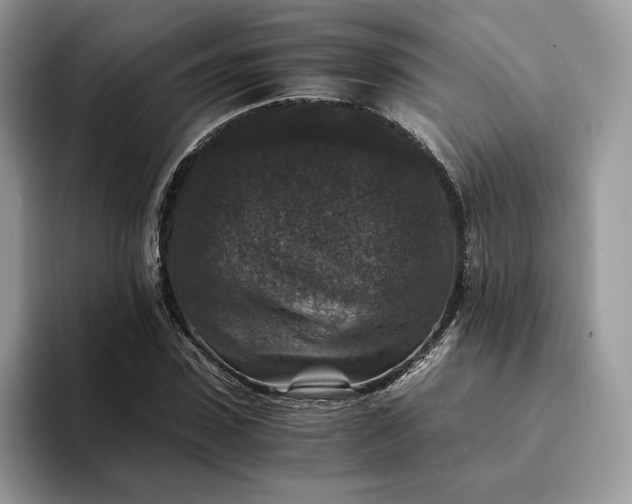 X0000094180923200711091139