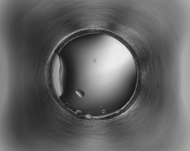 X0000094180926200711091139