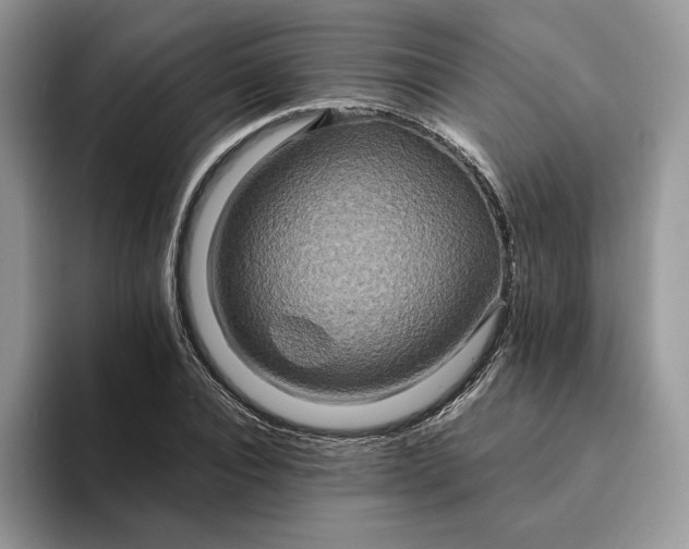 X0000094180928200711091140