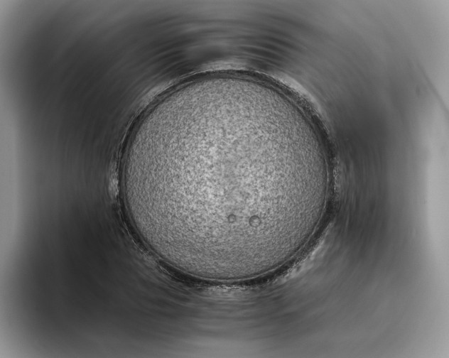 X0000094180929200711091140