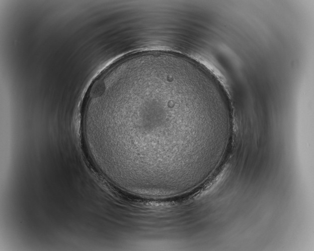 X0000094180933200711091140