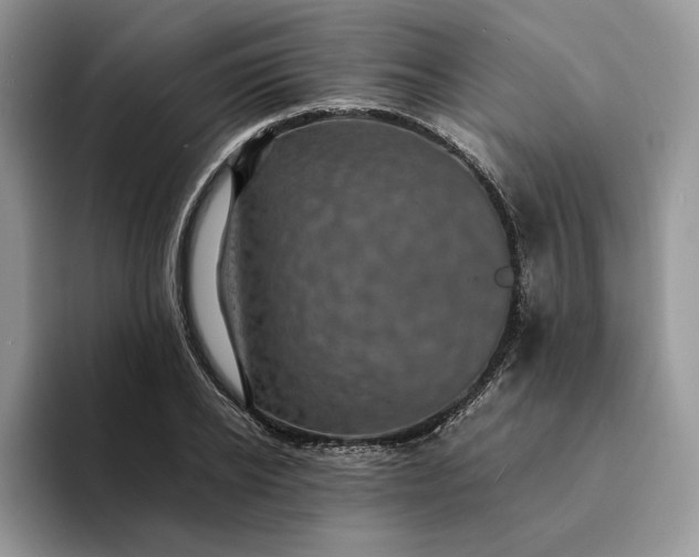 X0000094180934200711091140