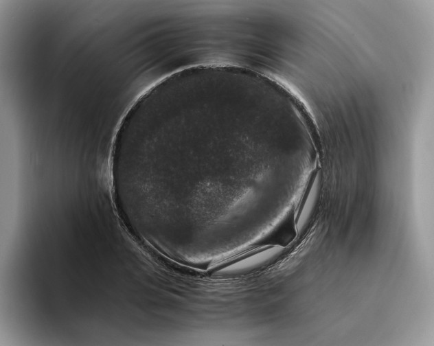 X0000094180935200711091140