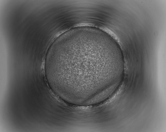 X0000094180937200711091140