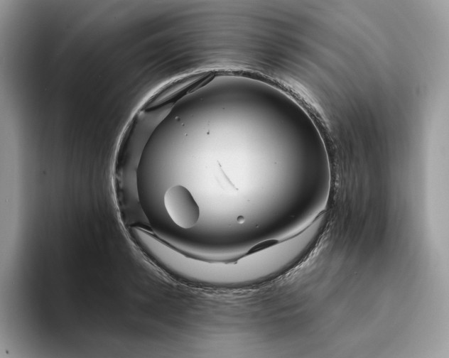 X0000094180942200711091140