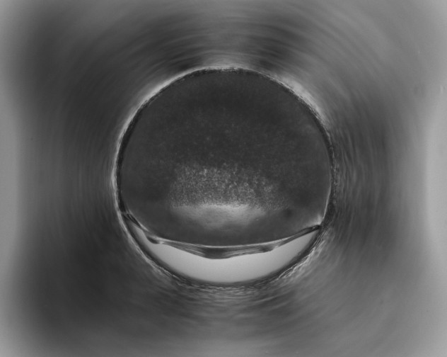 X0000094180943200711091140