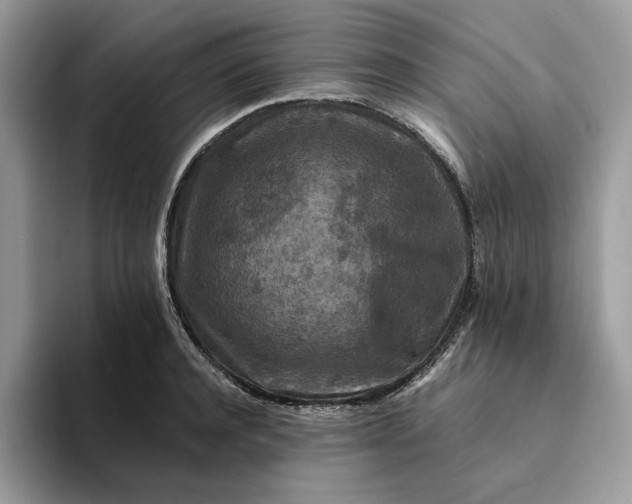 X0000094180944200711091140