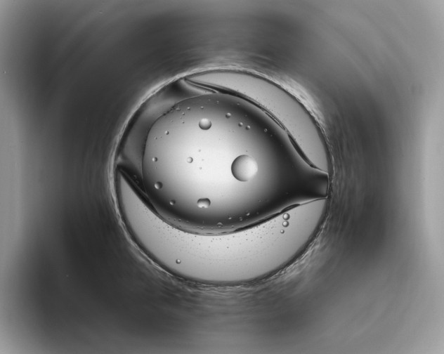 X0000094180950200711091140