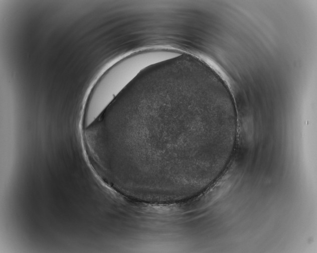 X0000094180951200711091140