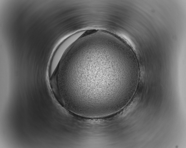 X0000094180952200711091140
