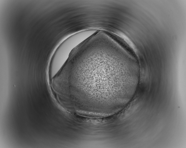 X0000094180955200711091140