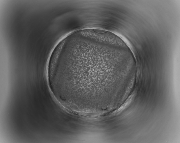 X0000094180957200711091140