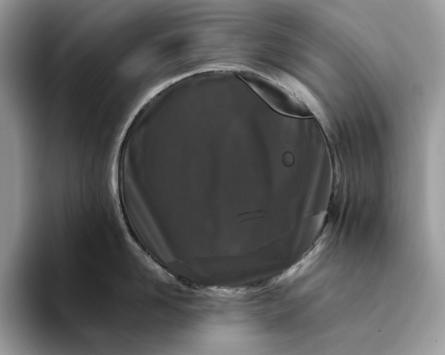 X0000094180958200711091140