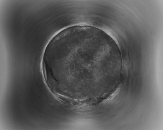 X0000094180959200711091140