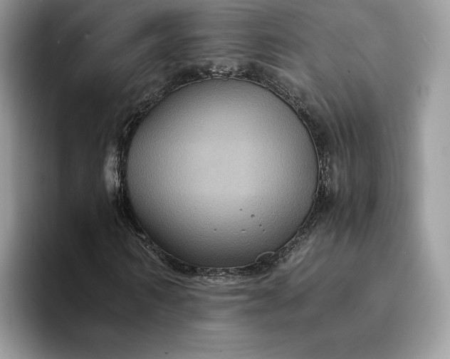 X0000094180962200711091139