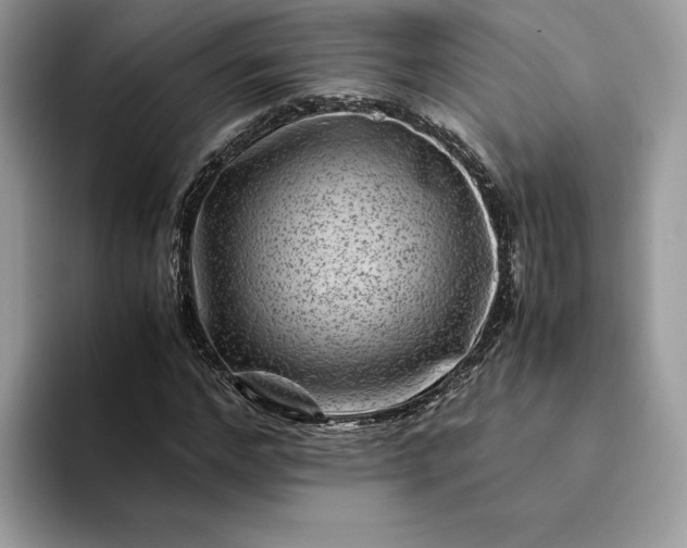X0000094180968200711091139