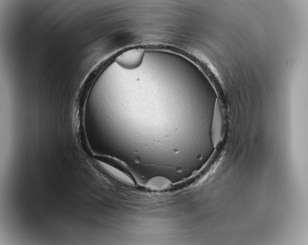 X0000094180973200711091139
