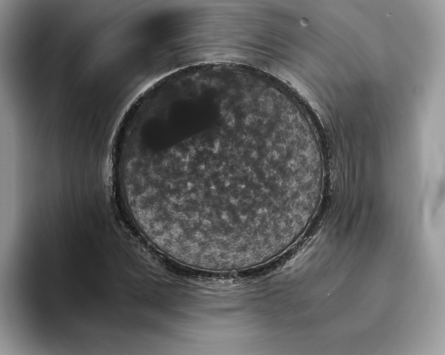 X0000094180975200711091139