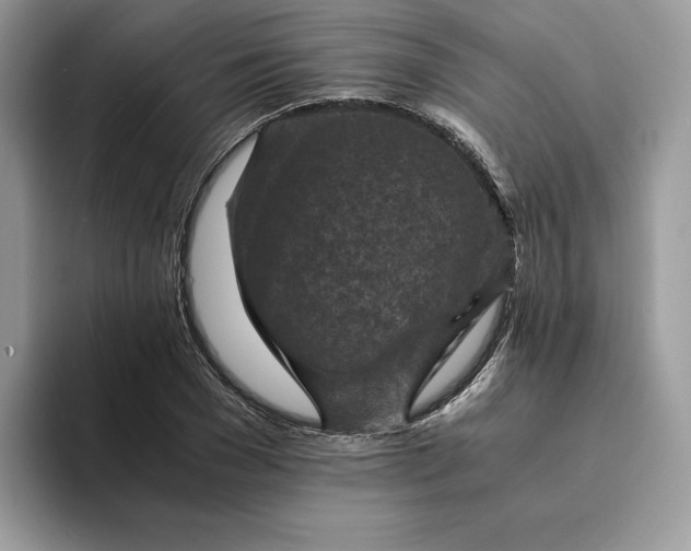 X0000094180977200711091139