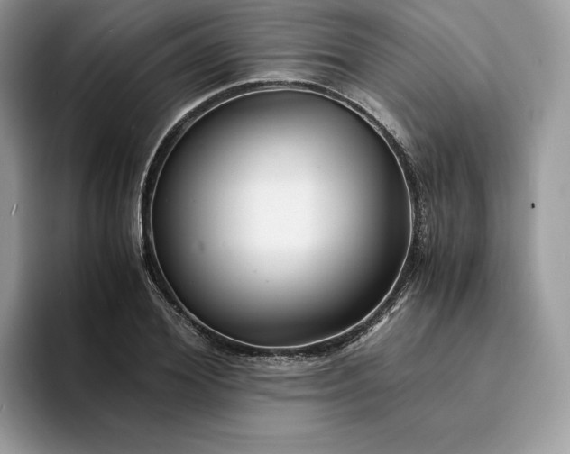 X0000094180980200711091139