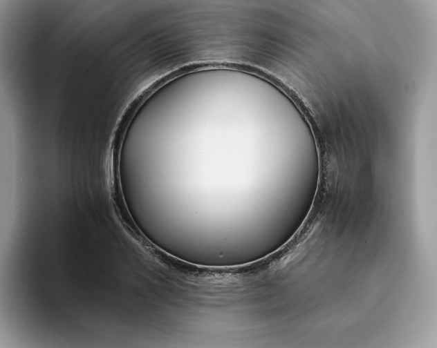 X0000094180982200711091139