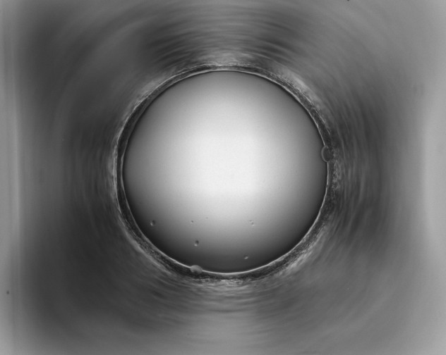 X0000094180986200711091139