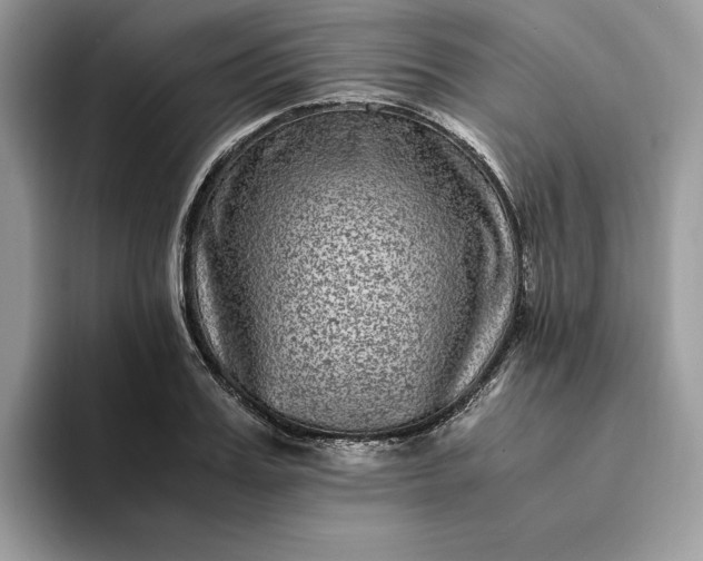 X0000094180987200711091139