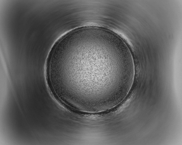 X0000094180991200711091139