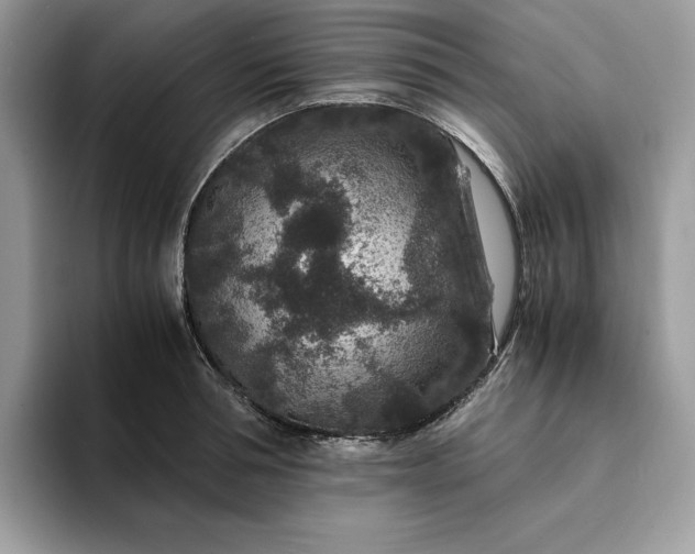 X0000094180994200711091139
