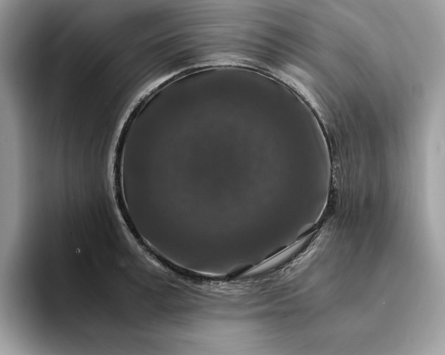 X0000094180995200711091139