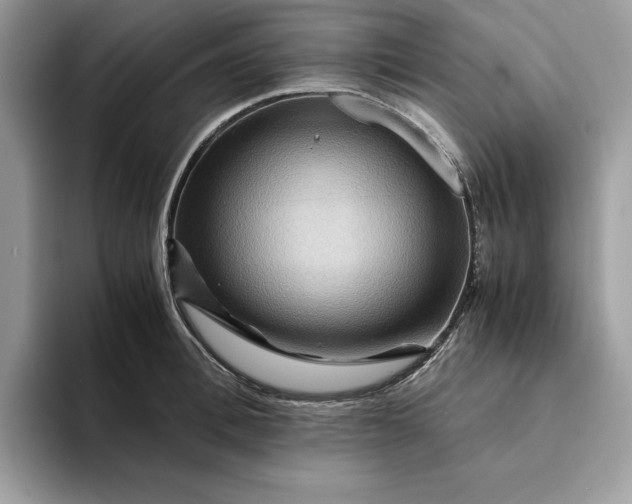 X0000094180996200711091139