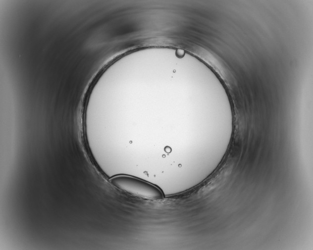X0000094181000200711091139