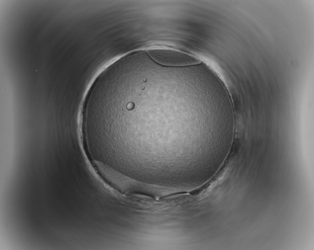 X0000094181003200711091139