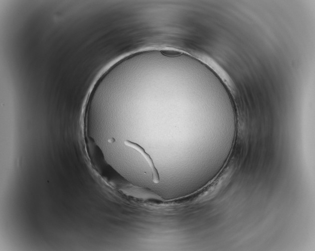 X0000094181004200711091139