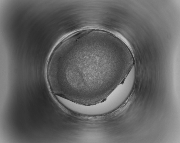X0000094181005200711091139