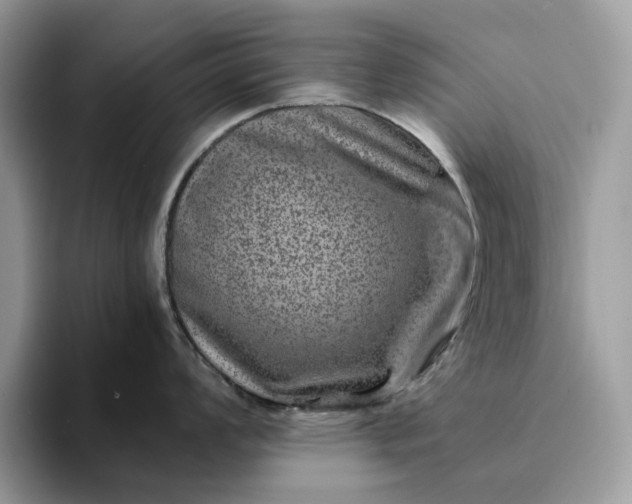 X0000094181008200711091139