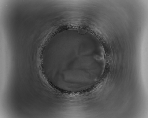 X0000094181009200711091138