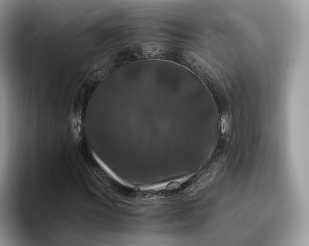 X0000094181011200711091138