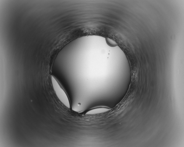 X0000094181012200711091138