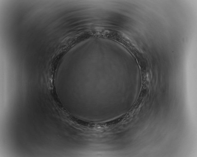 X0000094181013200711091138