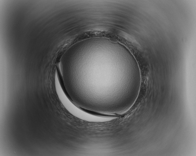 X0000094181014200711091138