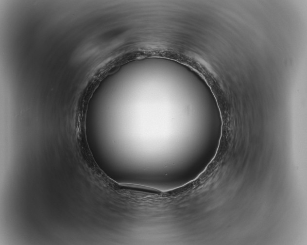 X0000094181016200711091138