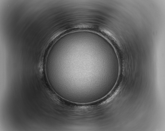 X0000094181017200711091138