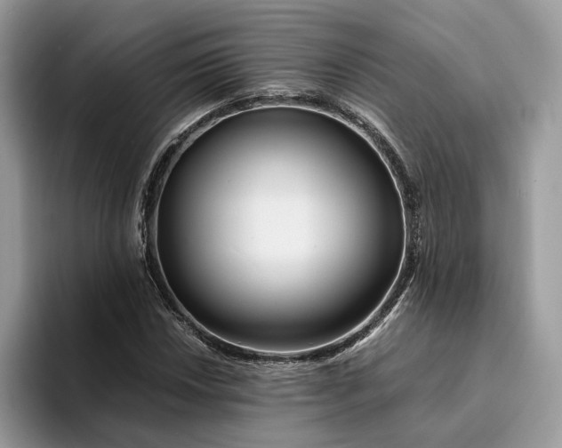 X0000094181018200711091138